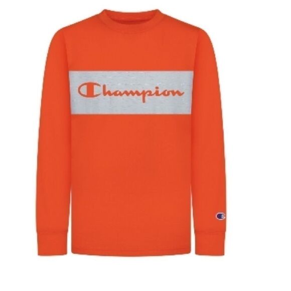 Bundle CARTER'S and champion 
Toddler Boys Dinosaur Fleece Pullover 2T - Picture 5 of 5